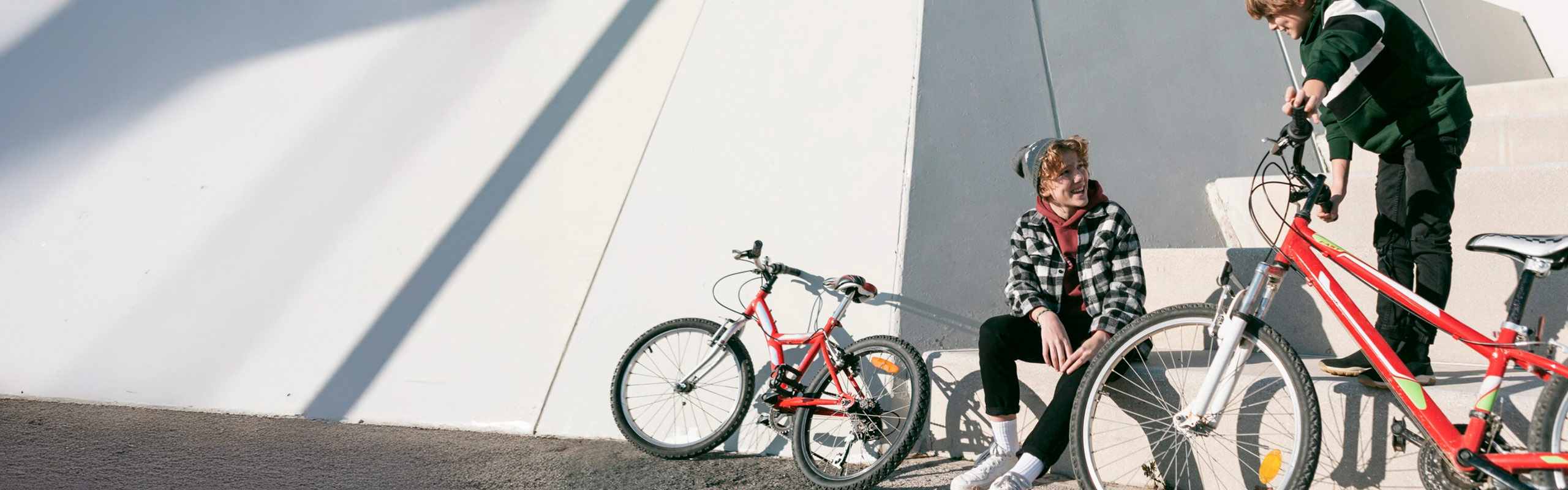Bicicletas